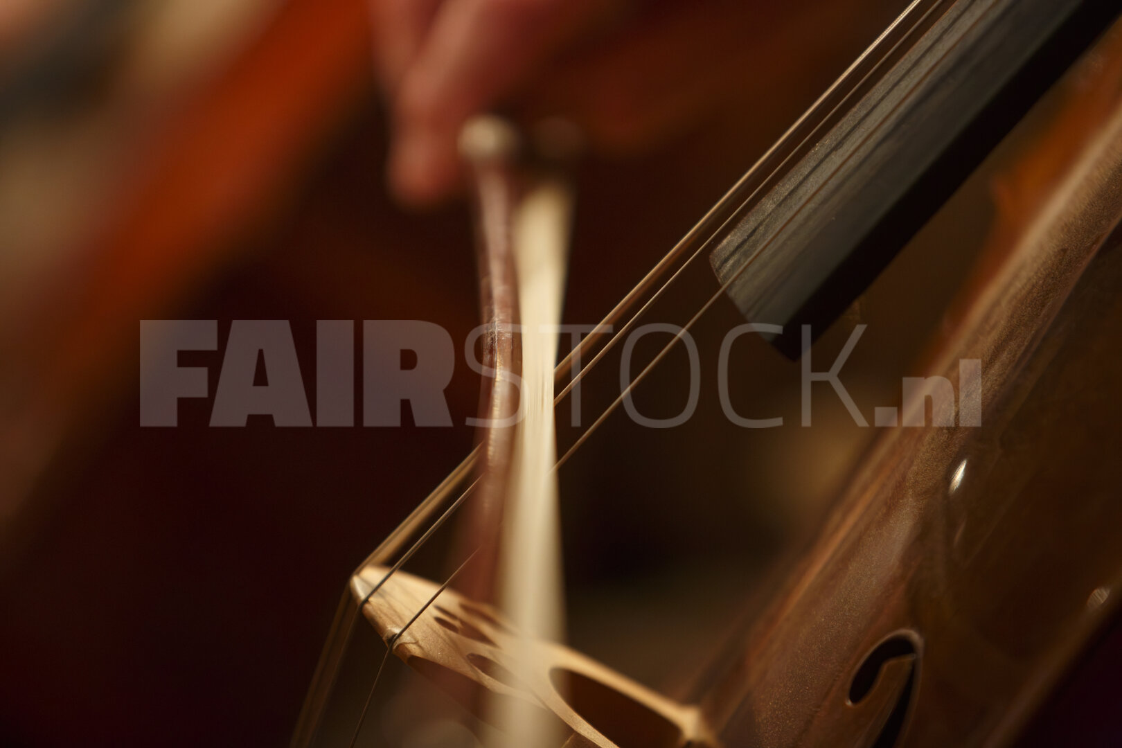 Cellist aan het spelen in warm licht