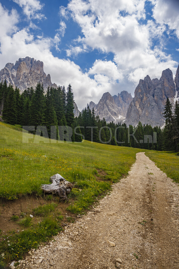 Adembenemend uitzicht op de Dolomieten op een zomerse dag