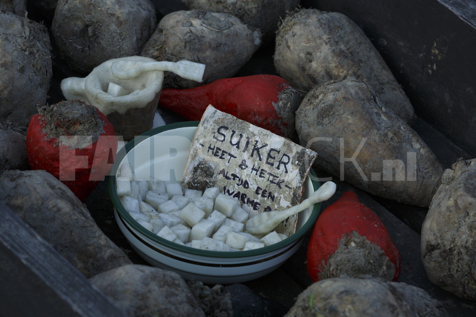 Suikerbieten en suikerklontjes