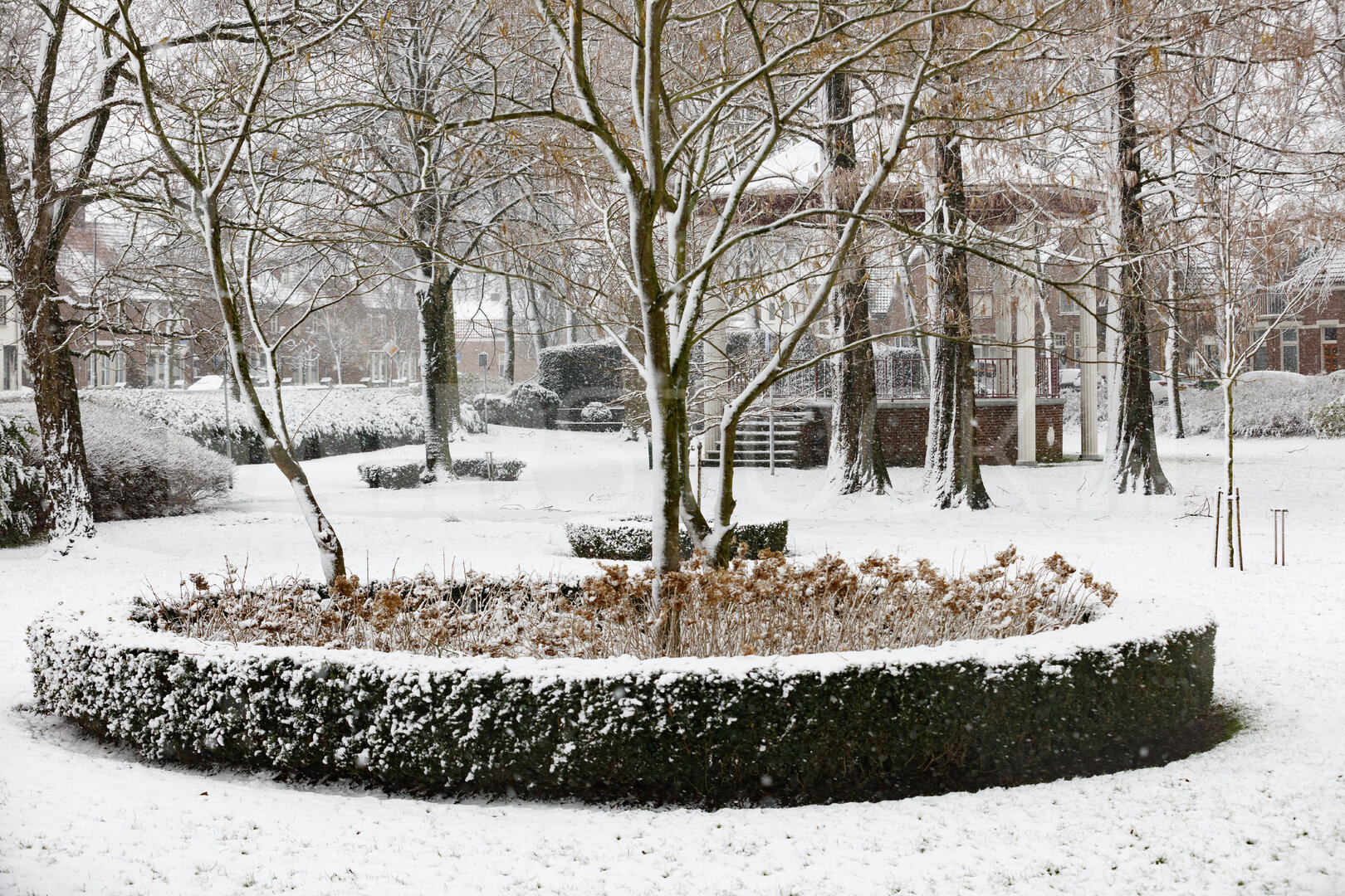 Besneeuwd park in winter met bevroren bomen