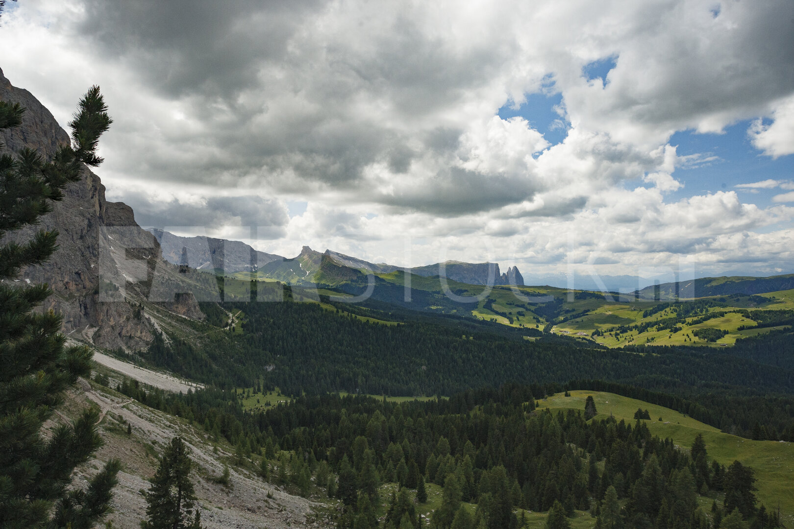 Groen landschap van de Dolomieten, Italië